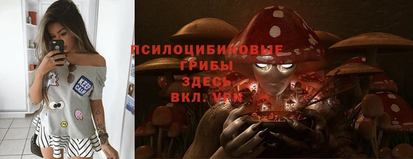 спиды Елабуга
