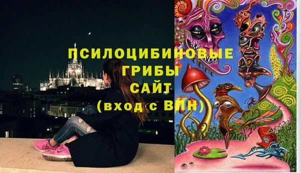 эйфоретик Заводоуковск