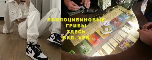 mix Ельня