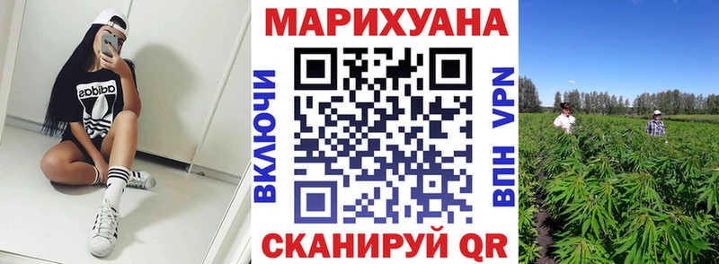Шишки марихуана LSD WEED  продажа наркотиков  shop клад  Кашин 